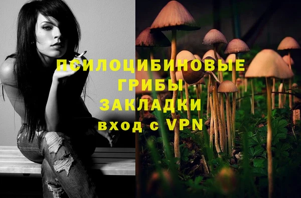 экстази Новодвинск